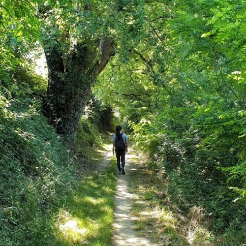 Holistic Life Coaching